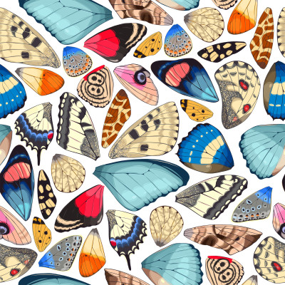 Shellscape Wonders Bed Sheets